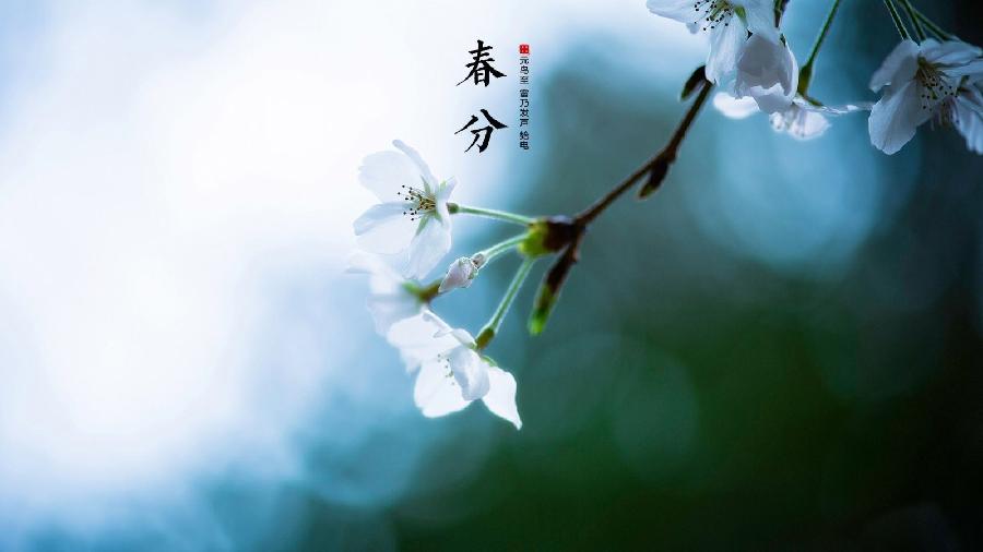 【潇湘文学社】潇湘如兰诗社《春分》(总297期)(图11)
