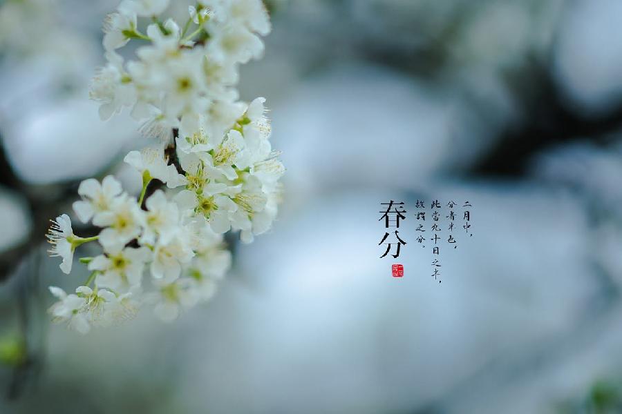 【潇湘文学社】潇湘如兰诗社《春分》(总297期)(图16)