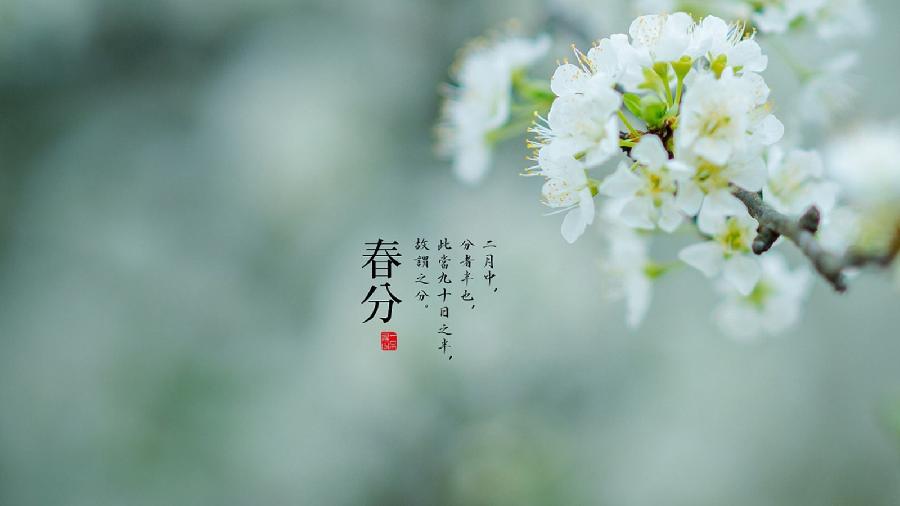 【潇湘文学社】潇湘如兰诗社《春分》(总297期)(图21)