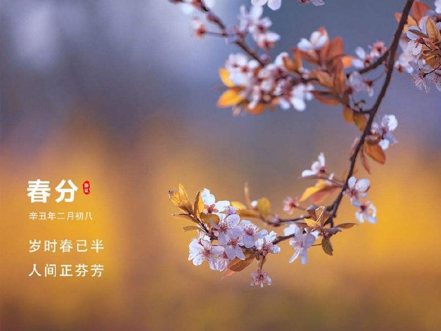 【潇湘文学社】潇湘如兰诗社《春分》(总297期)(图23)