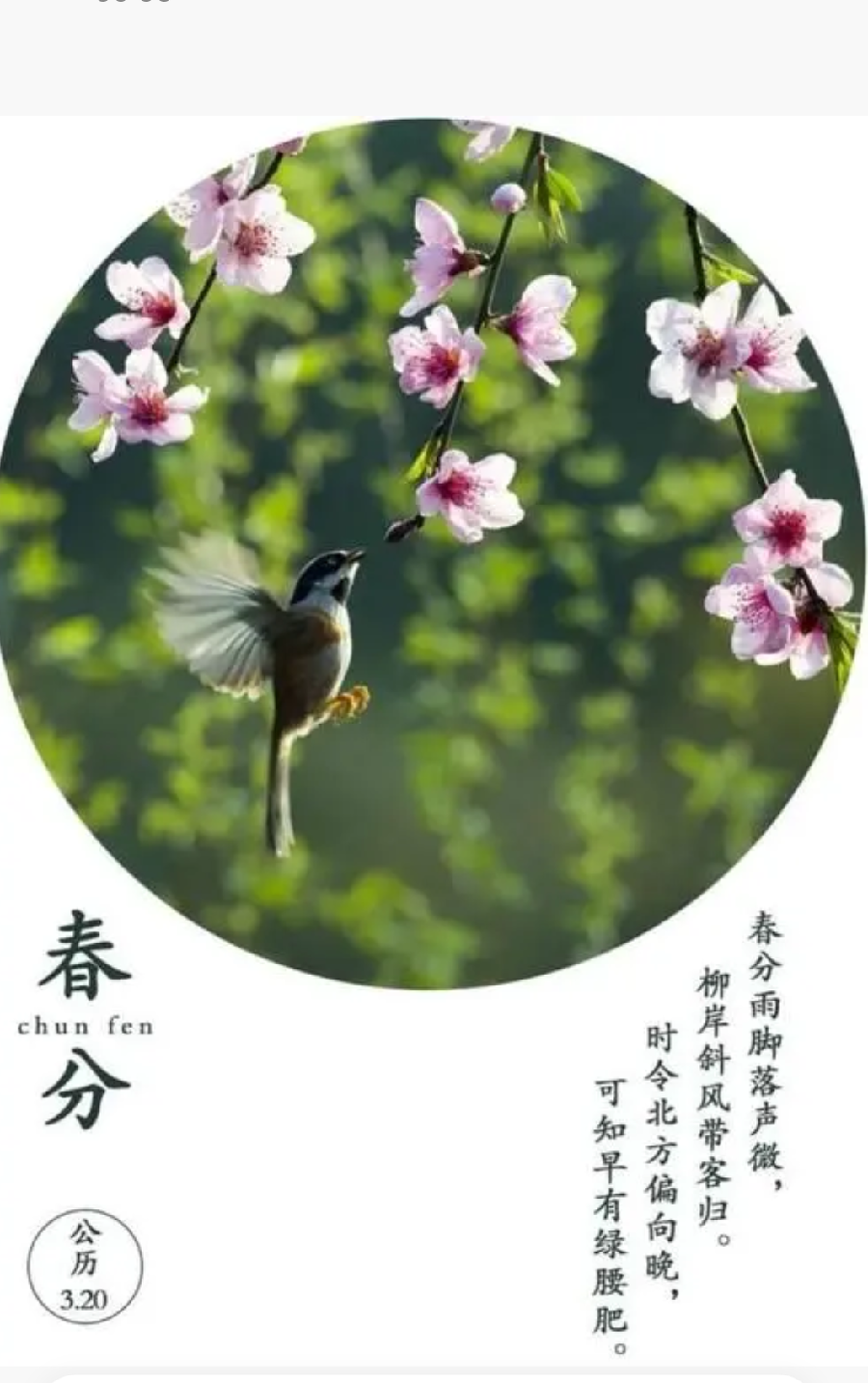 〔诗词小辑〕作者 枫叶 (安徽)【冰心文化传媒】(图4)