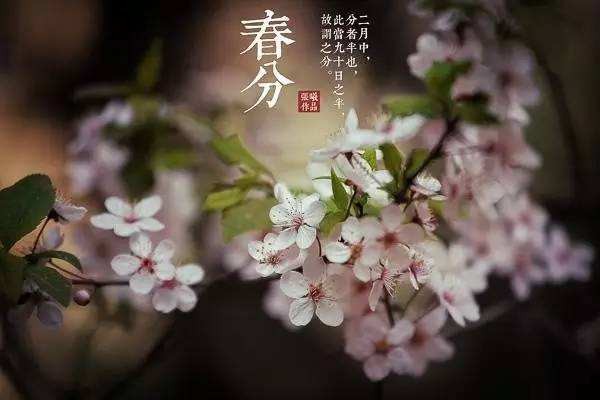 【潇湘文学社】潇湘如兰诗社《春分》(总297期)(图28)