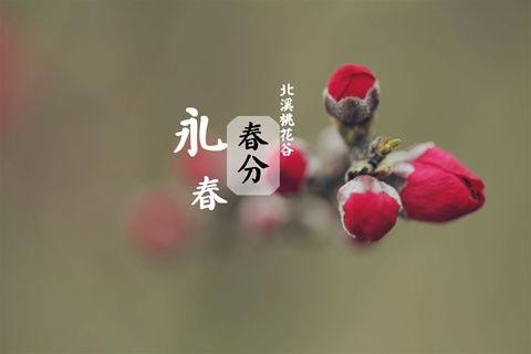 【潇湘文学社】潇湘如兰诗社《春分》(总297期)(图31)