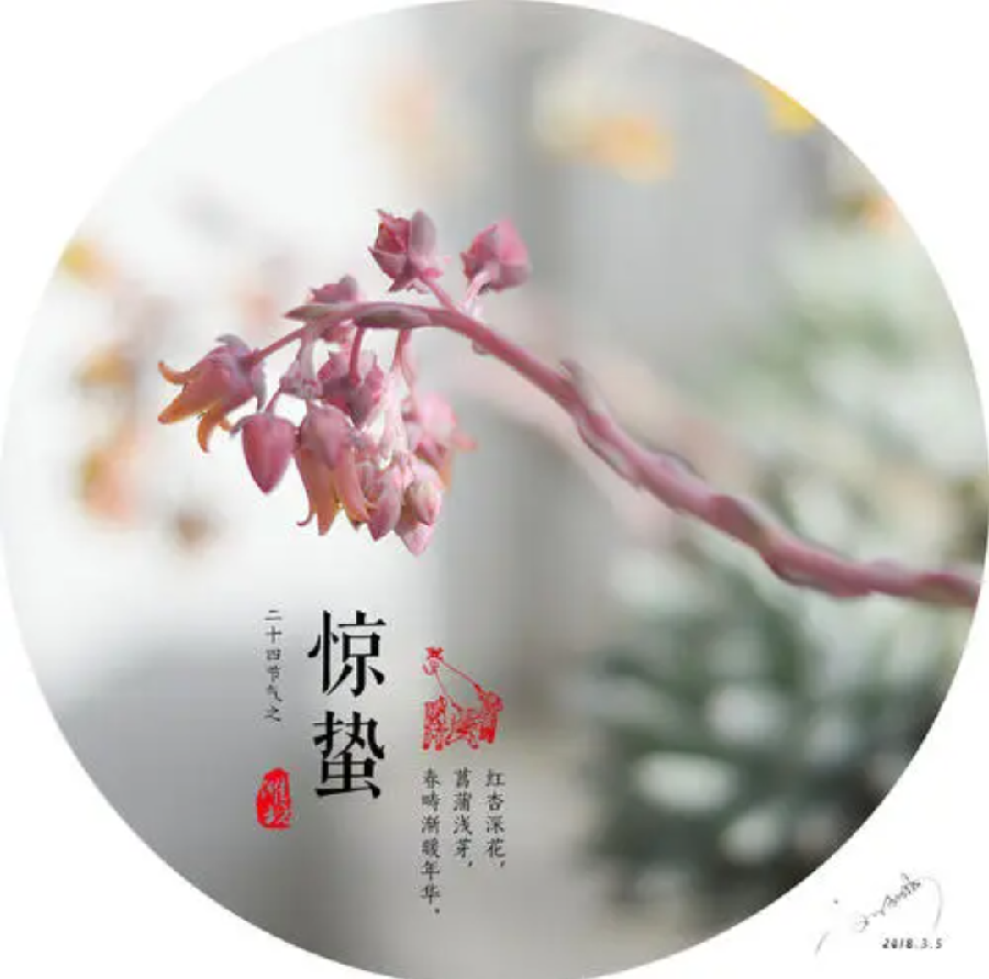 〔诗词小辑〕作者 枫叶 (安徽)【冰心文化传媒】(图10)