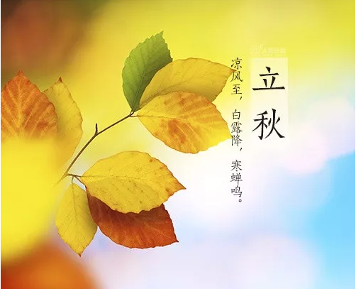 【新诗大观】立秋（外三首）||文/张道发