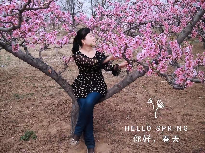 【新诗大观】春天的梦||文/花惜柔（图4）