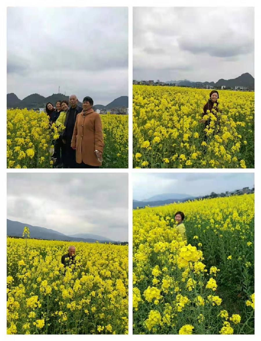 中华诗艺九江格律诗词鉴赏（合辑）第1408期（图27）