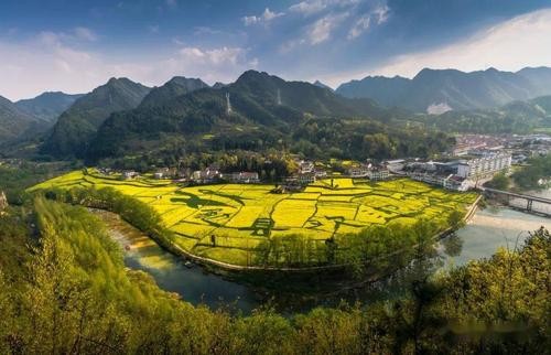 【九江文学社:北京头条】《醉人的油菜花组诗》文/王述成(图8)