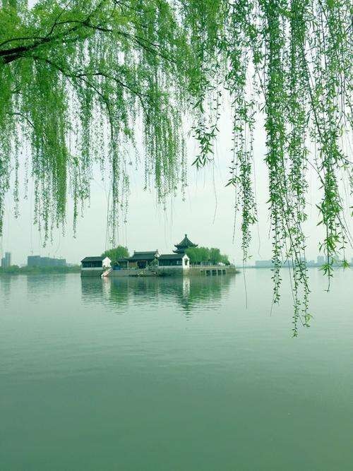 〔诗词小辑〕作者：李文清（北京）【冰心文化传媒】（图11）