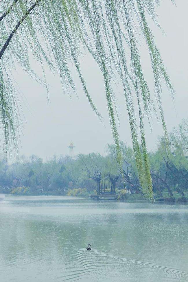 〔诗词小辑〕作者：李文清（北京）【冰心文化传媒】（图10）