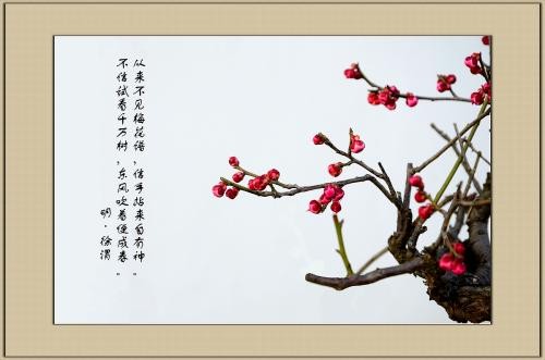 听•梅竹心语 作者:蔺峰〔甘肃兰州〕【冰心文化传媒】(图3)