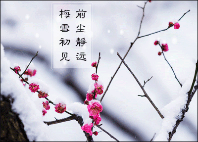 听•梅竹心语 作者:蔺峰〔甘肃兰州〕【冰心文化传媒】(图11)