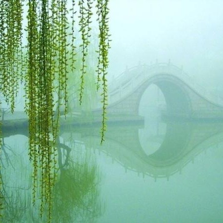 春晨 （组诗）金荣（湖北）（图4）