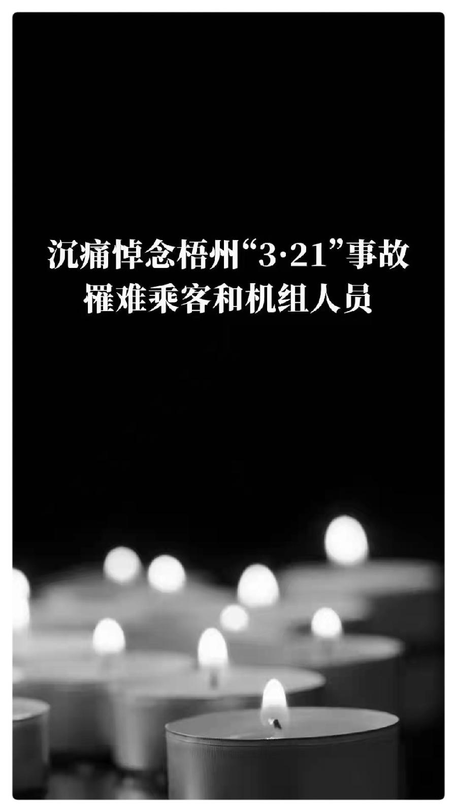 悼念“3.21”空难专刊ll我不哭泣,那是天空的泪Ⅱ合诵 婧暄 陈兵(图10)