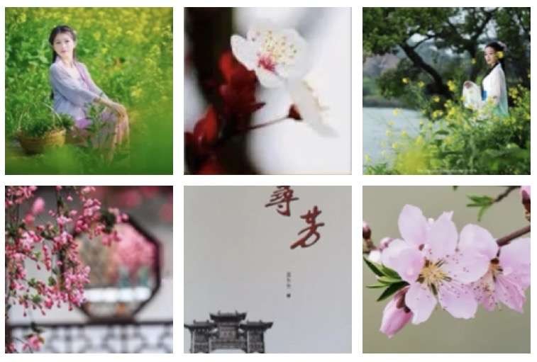 〔诗词小辑〕作者 张晓峰（重庆）【冰心文化传媒】（图4）