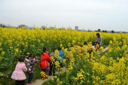【北美翰苑分享社格律诗词精品鉴赏】第二十五期(周刊)(图27)