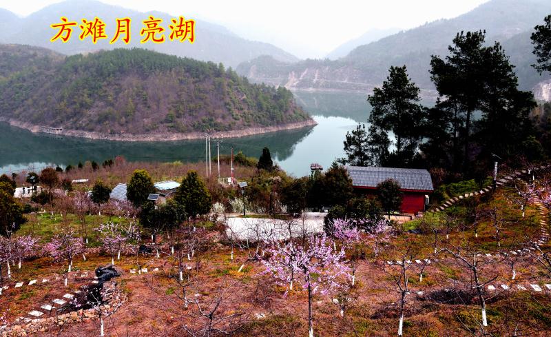 《花朝清韵》第三十四期《十堰三月好风光》（图7）