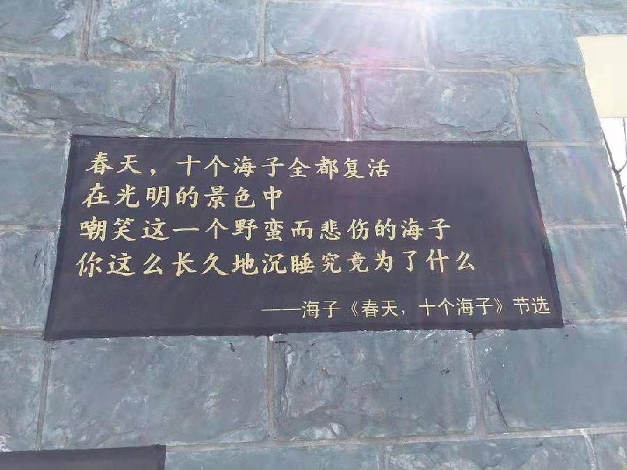 《太阳处重生一个诗人》作者/胡风楚月 主播/童心未泯 编辑/胡琴(图4)