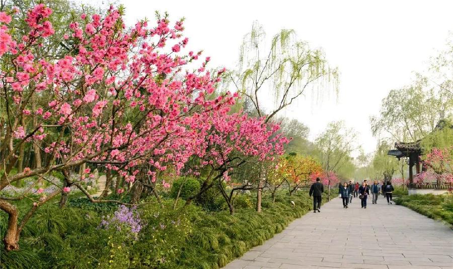 连云区星火诗社307期微刊《为扬州十景赋诗唱和》(图11)