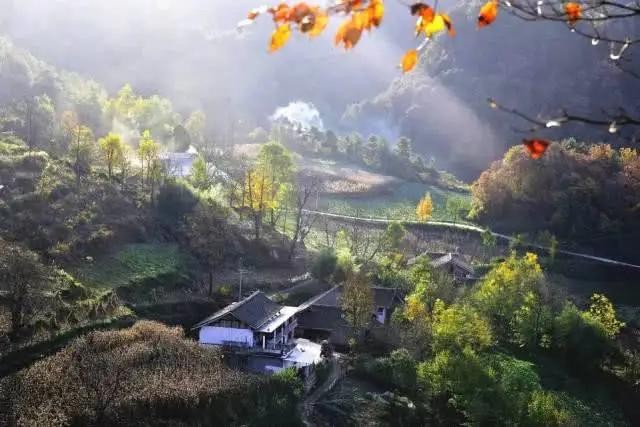 唐燕生：乡 愁 (外一首)