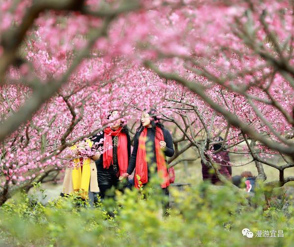 推荐【神州源流诗苑】总第596期[优秀近体诗]周刊（图3）