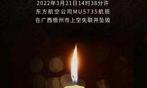 【九江文学社:北京头条】痛掉东航737空难同胞,祈愿逝者安息,一路走好!🙏🙏🙏(图4)