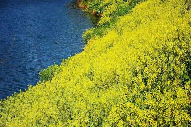〔诗歌专辑五〕作者 程宝玉(内蒙古)【冰心文化传媒】(图80)
