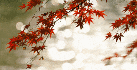 〔诗歌专辑五〕作者 程宝玉(内蒙古)【冰心文化传媒】(图93)