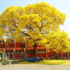 【华夏周刊】第86期诗友合辑（图3）