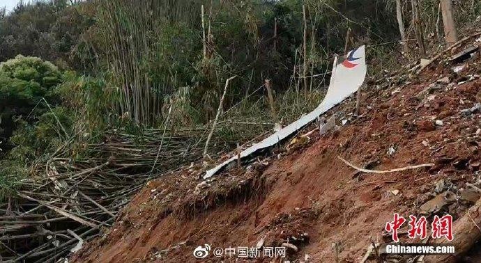 【九江文学社:北京头条】痛掉东航737空难同胞,祈愿逝者安息,一路走好!🙏🙏🙏(图12)