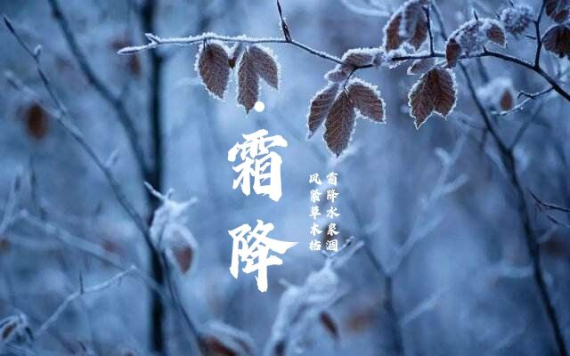 【新诗大观】寒露（外三首）||文/张道发（图2）