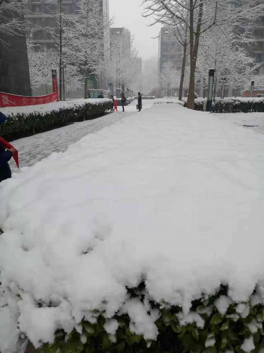雪漫京城 | 曹梦林