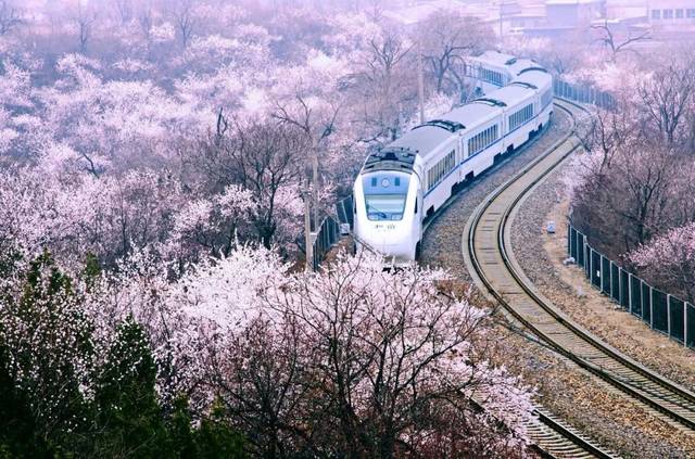 中华诗艺九江格律诗词鉴赏（合辑）第1408期（图50）