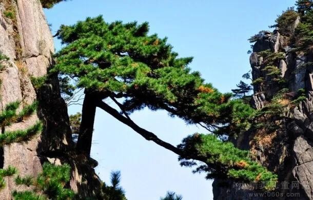 【潇湘文学社】潇湘听松诗社《嵌“容”字入韵》（总300期）（图19）