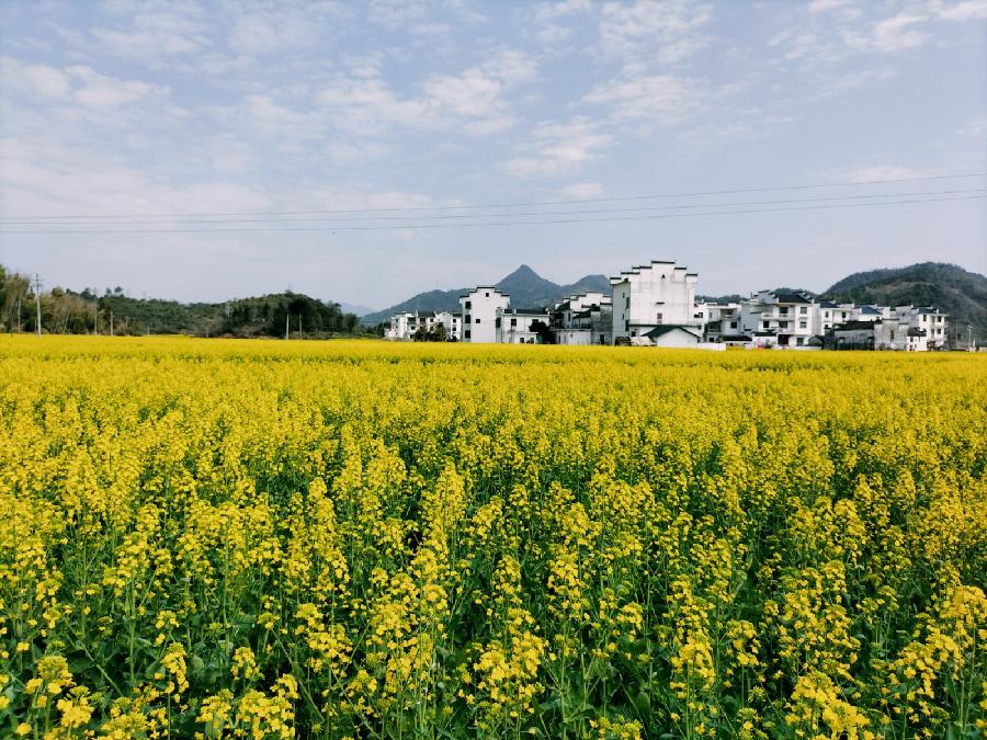 【九江文学社:北京头条】推荐欣赏傅塘根先生人生感悟(图5)