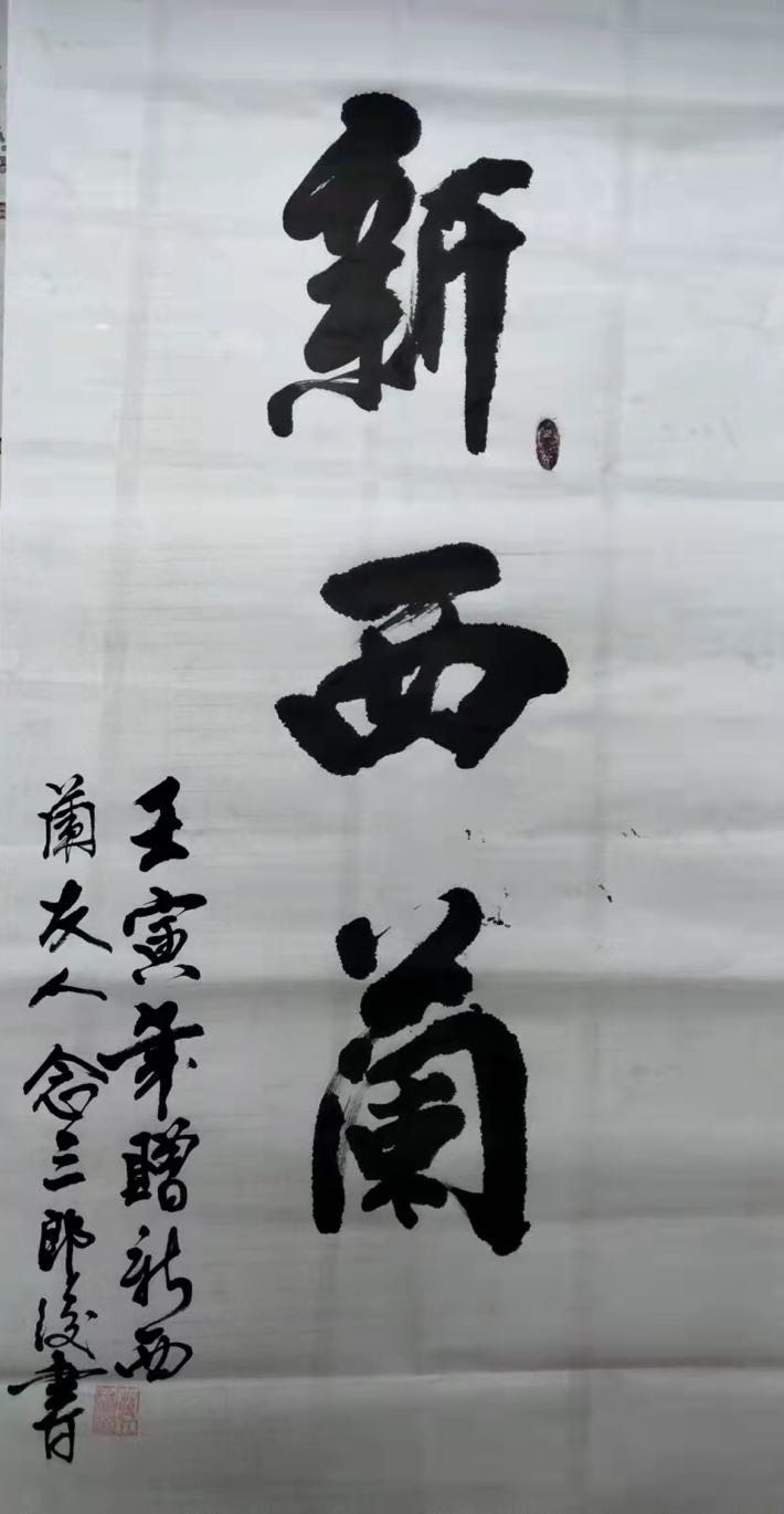 银蕨（图2）