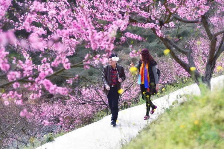 荐赏【神州源流诗苑】总第597期[优秀现代诗]（含其他）周刊（图7）