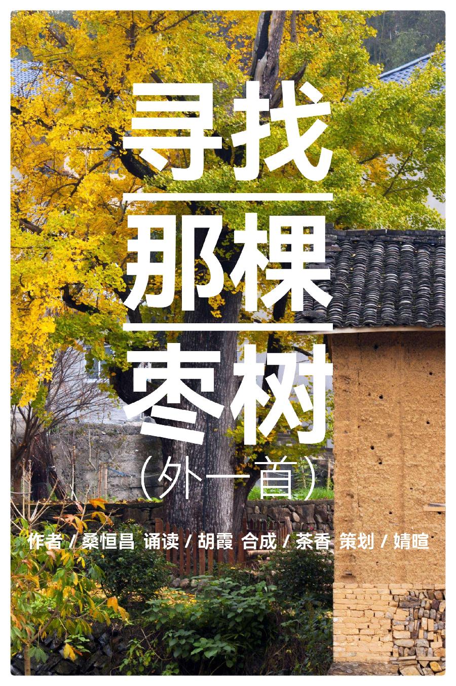 当代诗人桑恒昌诗歌集锦ll寻找那棵枣树(外一首)ll诵读 胡霞(图3)