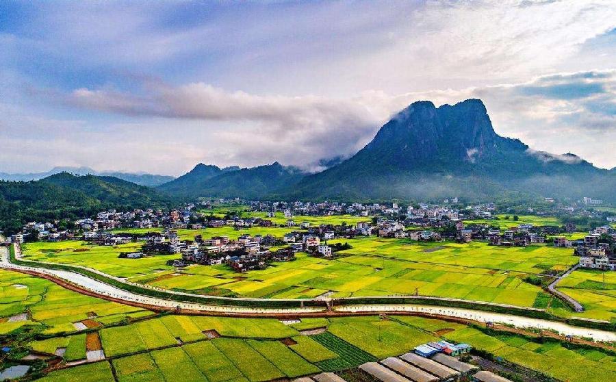 【经典推荐】杨武军//赞致富状元李昆兰（图4）