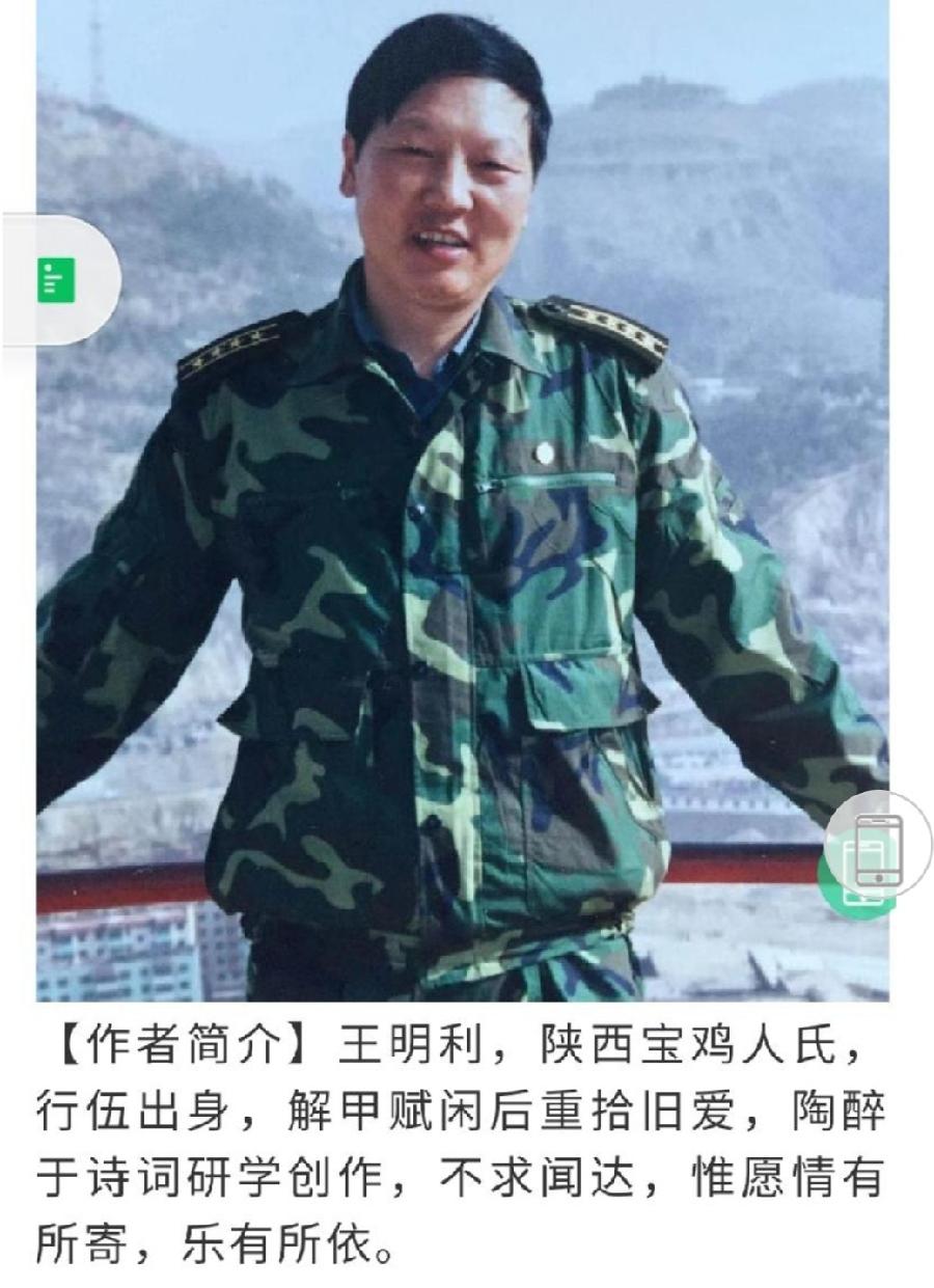 【专题推荐】王明利//临江仙•清明（图4）
