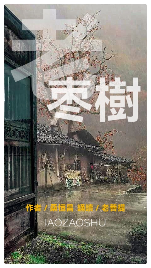 当代诗人桑恒昌诗歌选读ll老枣树ll诵读 老菩提(图2)