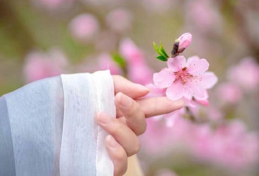 〔诗词小辑〕作者:王新华(河北)【冰心文化传媒】(图5)
