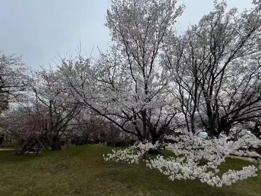 江南诗絮-0511【现代诗苑】(图11)