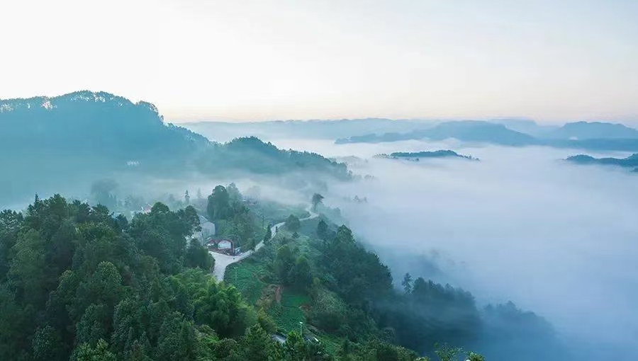 江南诗絮-0511【现代诗苑】(图15)
