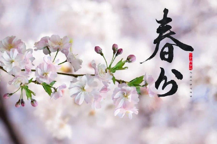 【潇湘文学社】潇湘紫竹诗社《随吟》(总301期)(图13)