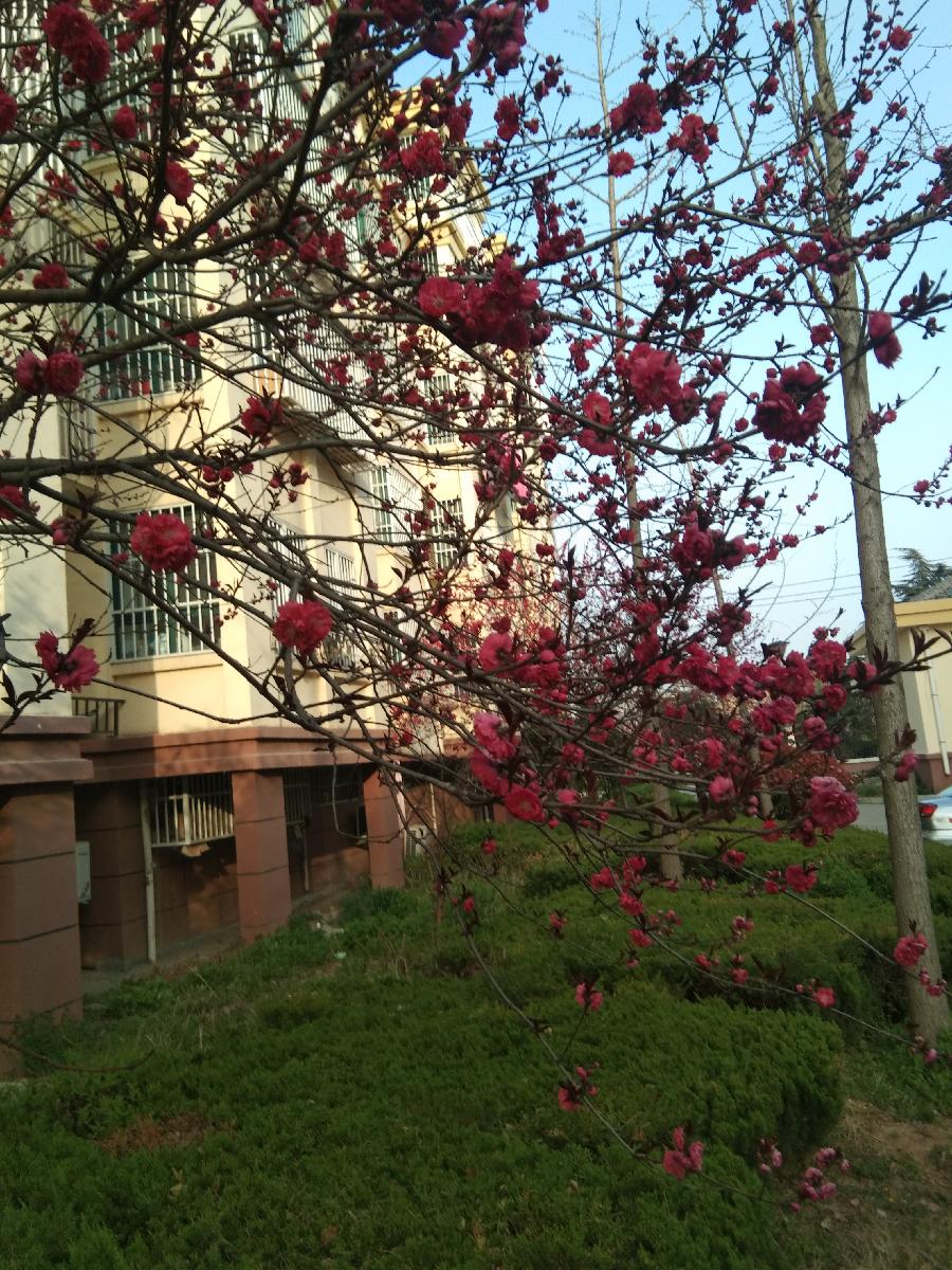 心尘文艺 第503期（图2）