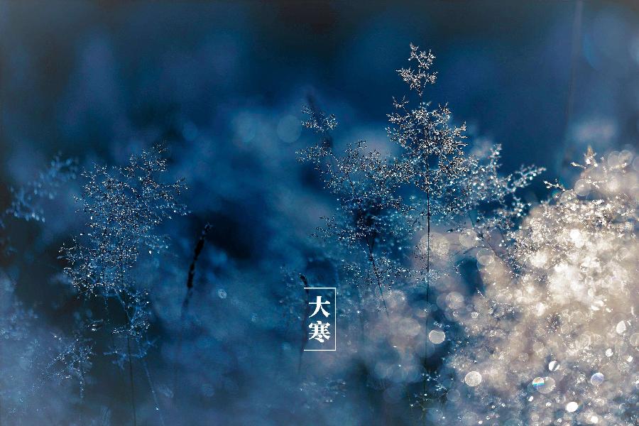 【新诗大观】大雪（外三首）||文/张道发（图4）