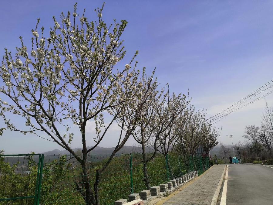 《王亚东:诗词辑》(图4)