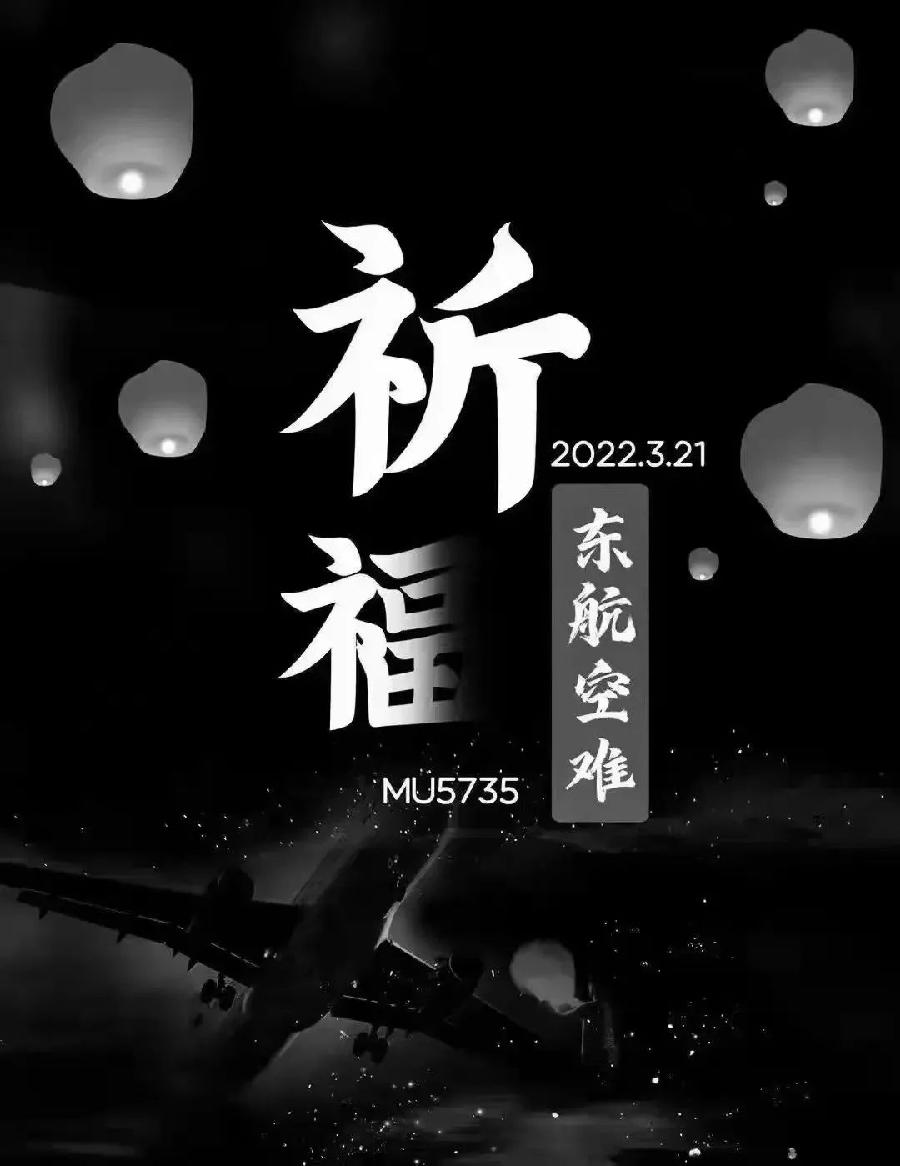 【悼念】杨武军//悼3.21空难同胞（图2）