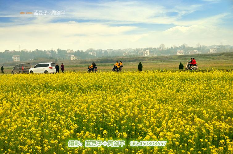 中华诗艺九江格律诗词鉴赏（合辑）第1410期（图16）